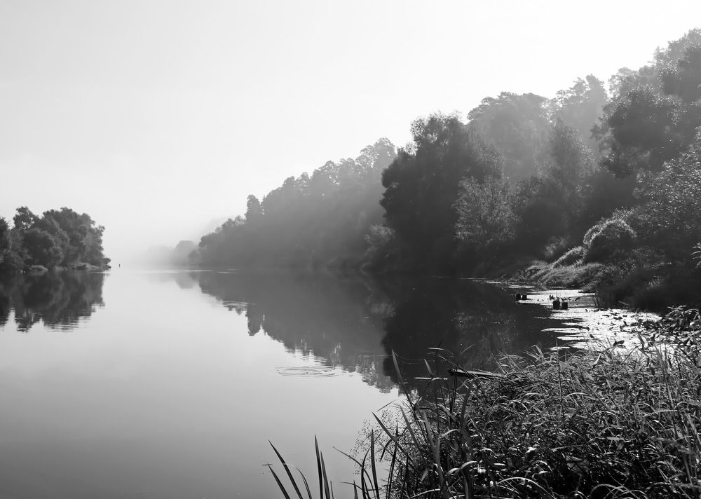 Photograph by Сергей Маслов