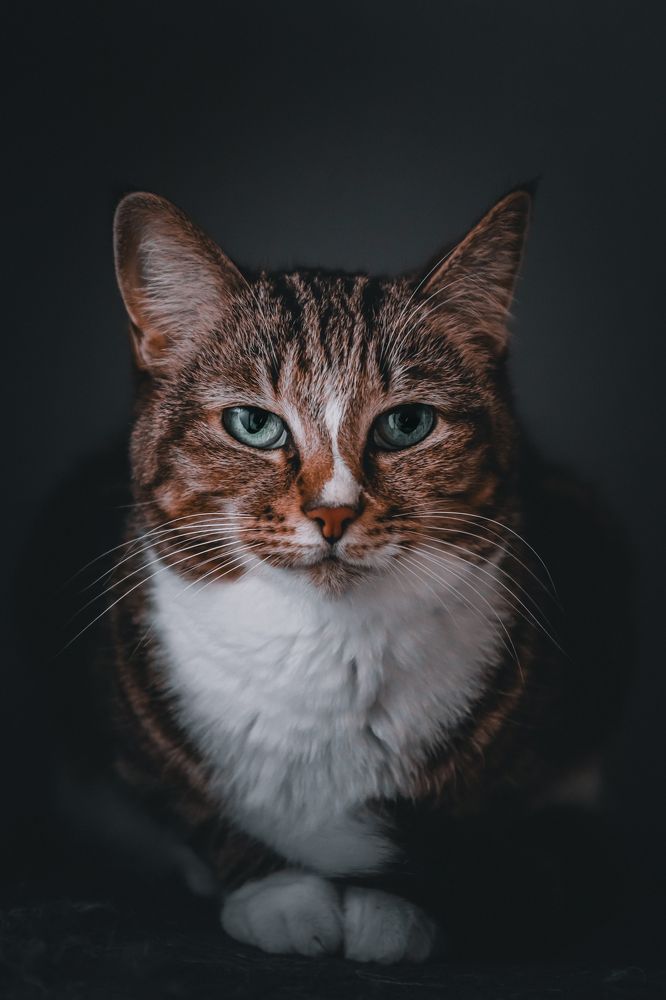 Photograph by Данил Шукан