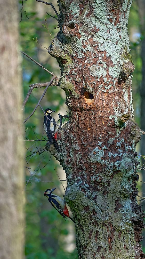 Photograph by Valery Zmachynski