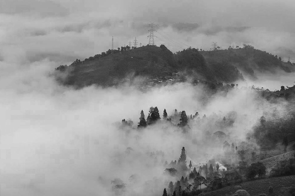 Photograph by Partha Mukhopadhyay