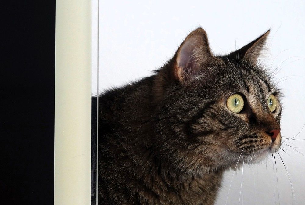 Photograph by jelena konickaja