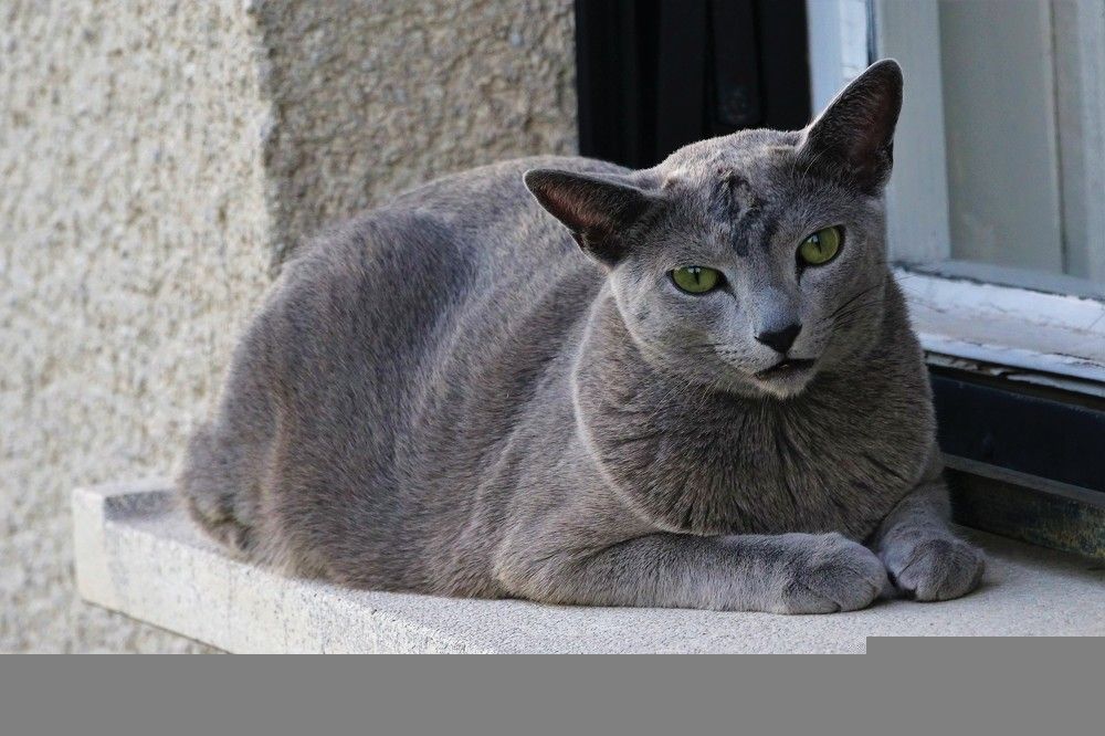 Photograph by jelena konickaja