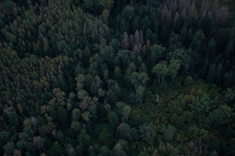 Photograph by Екатерина Петрович