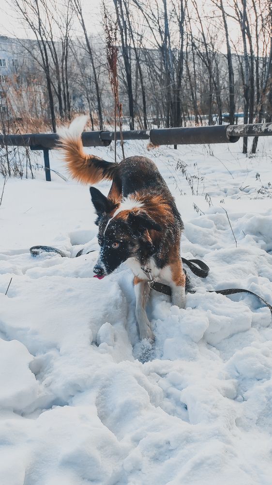 Photograph by Ирина Строкова