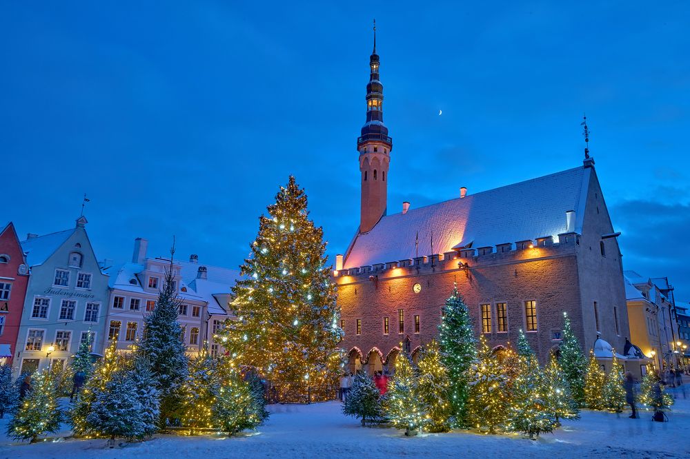 Зимняя сказка.