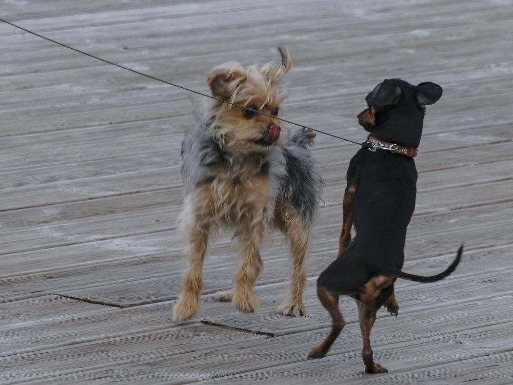 Photograph by Лилия Кондратьева