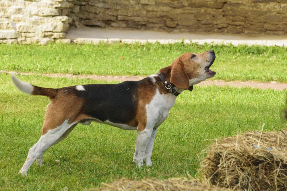 Photograph by Лилия Кондратьева