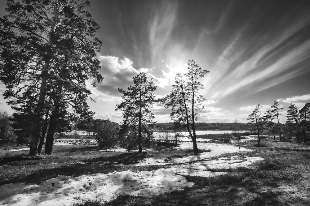 Мартовское солнце