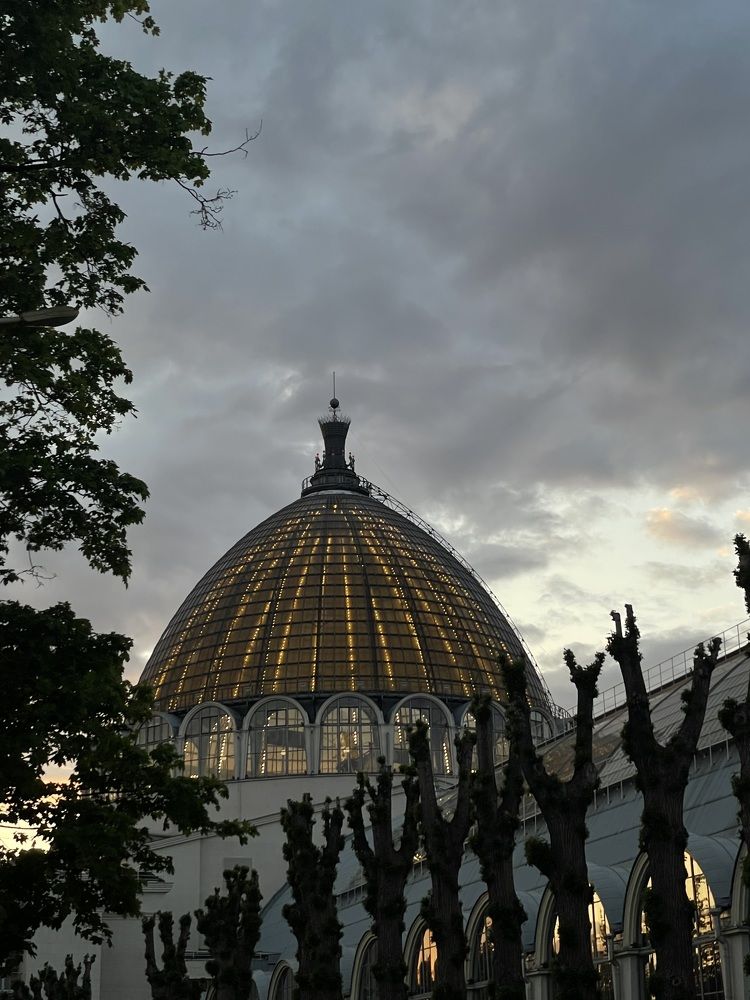 Фотография автора Светлана