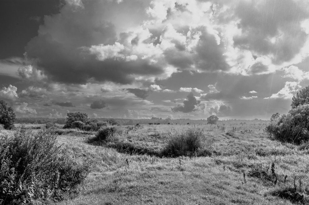 Фотография автора Геннадий Коробов