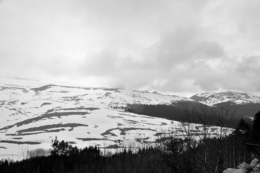 Photograph by Ольга Шевцова