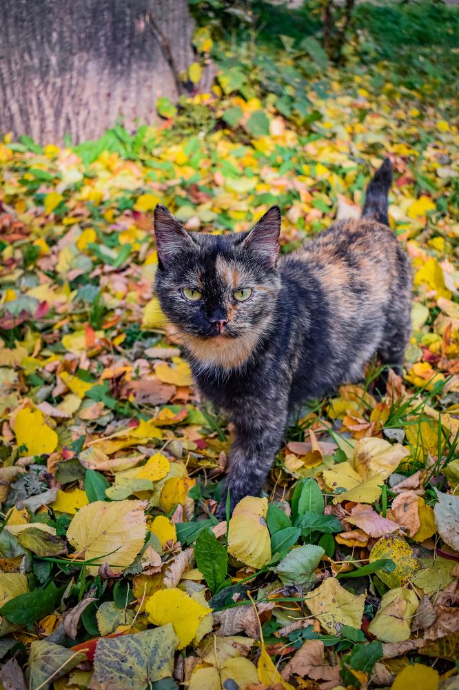 Photograph by Александра Климук