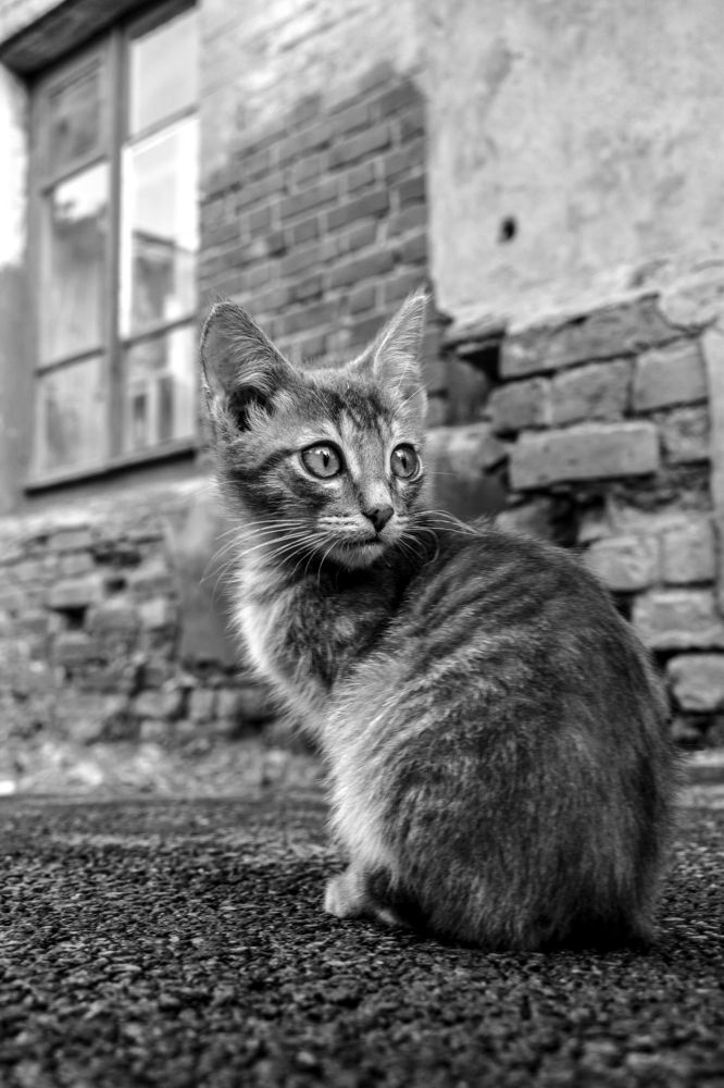 Photograph by Александра Климук