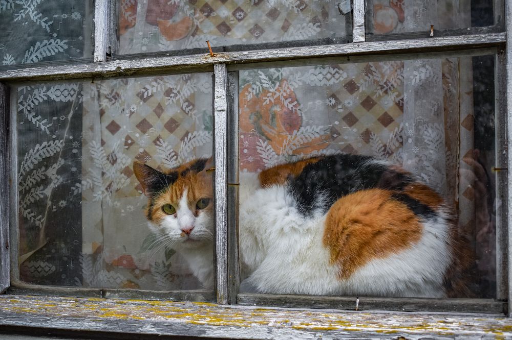 Photograph by Александра Климук