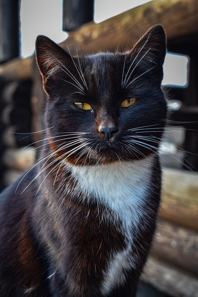 Photograph by Александра Климук