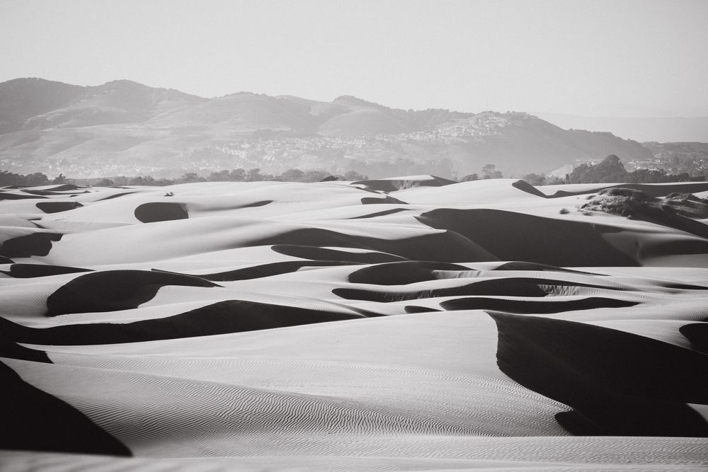 Photograph by Anna Vlasova