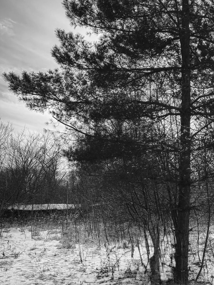 Photograph by Диана Есина