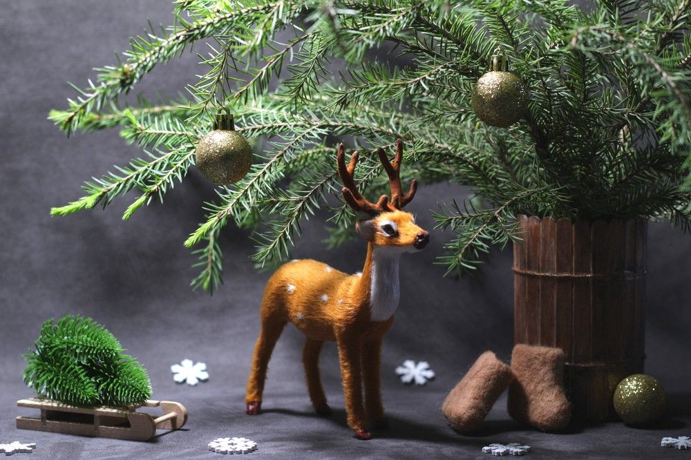 Photograph by Людмила Таерова