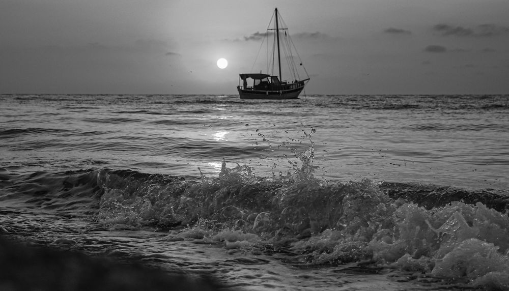 Photograph by Светлана Пронина