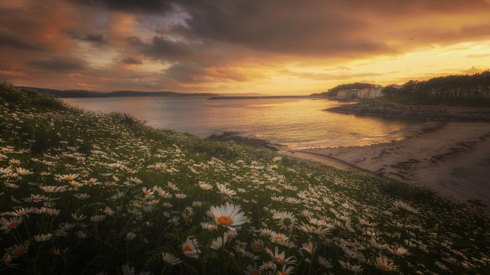 Photograph by Damian Varela