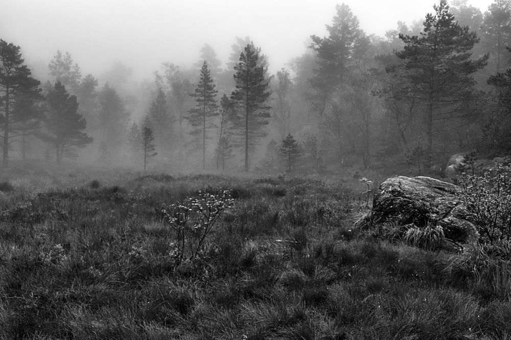 Photograph by Станислав Аникин