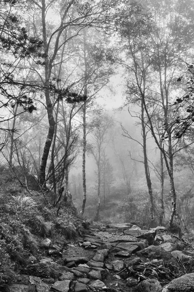 Photograph by Станислав Аникин