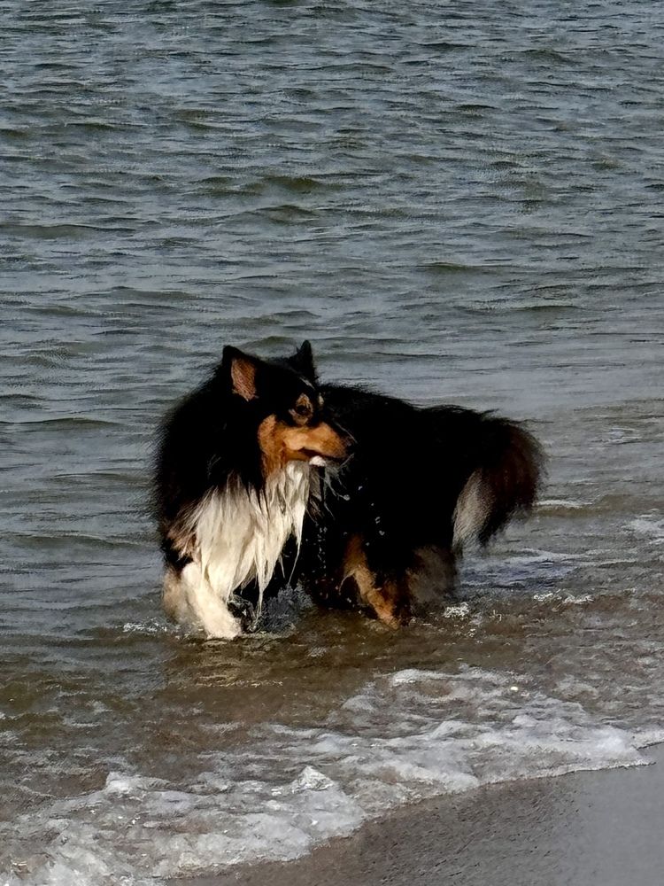 Photograph by Zhanna Kolesnikova