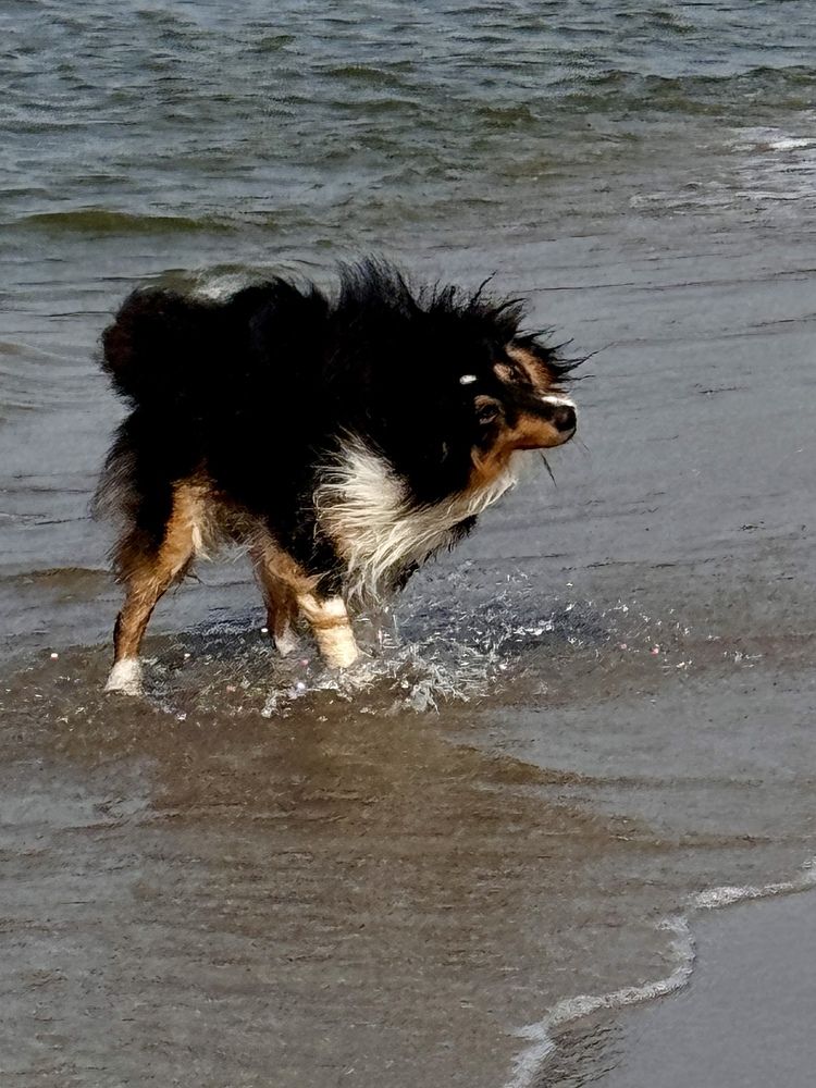 Photograph by Zhanna Kolesnikova