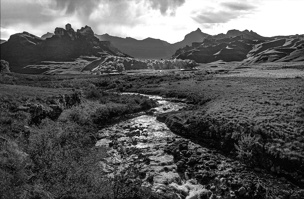 Photograph by Theo Landman