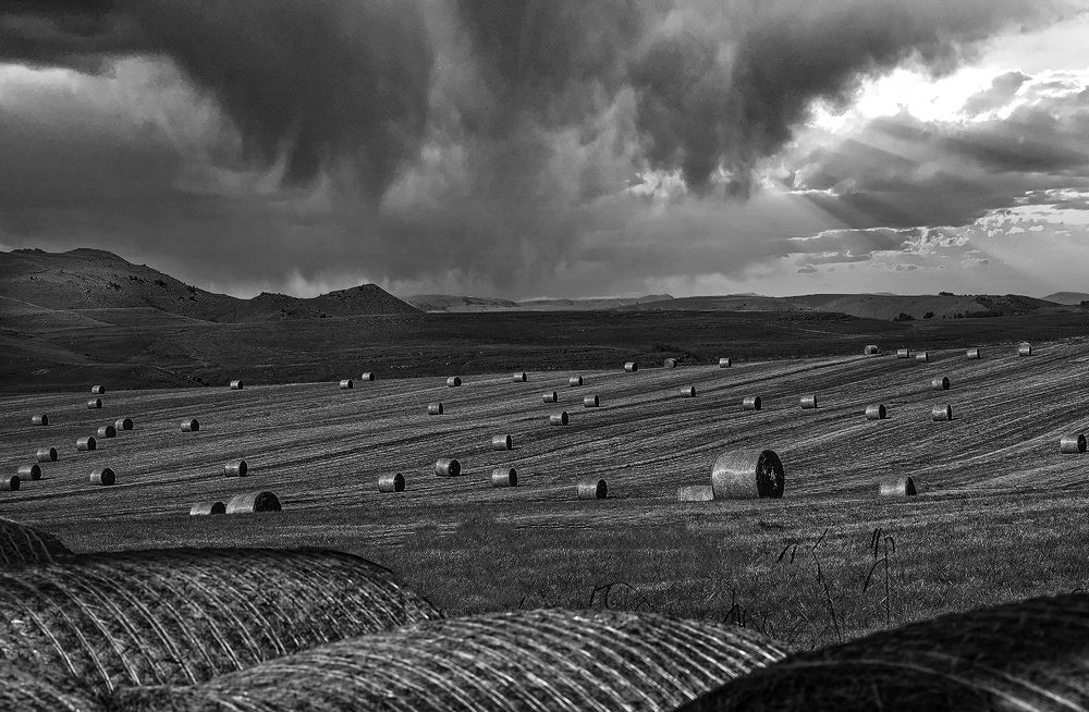 Photograph by Theo Landman