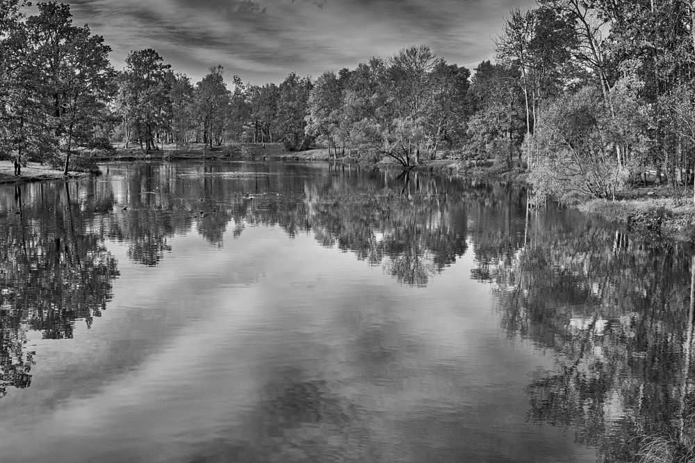 Photograph by Устинов Андрей