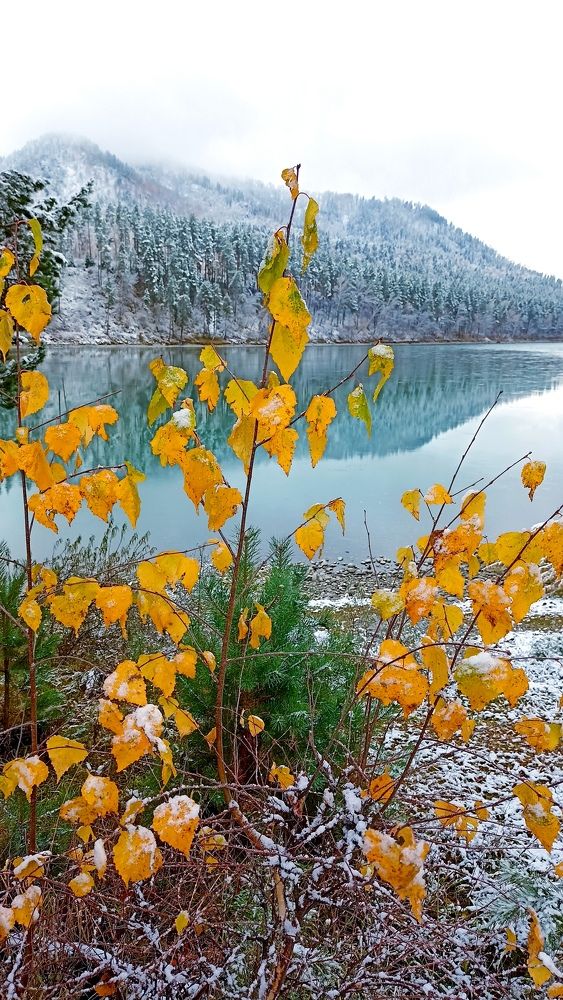 Горный Алтай осенью.