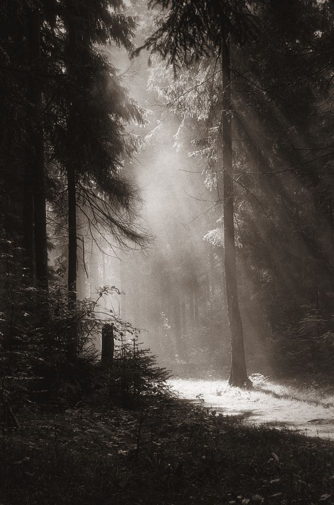 Photograph by Алексеев Сергей