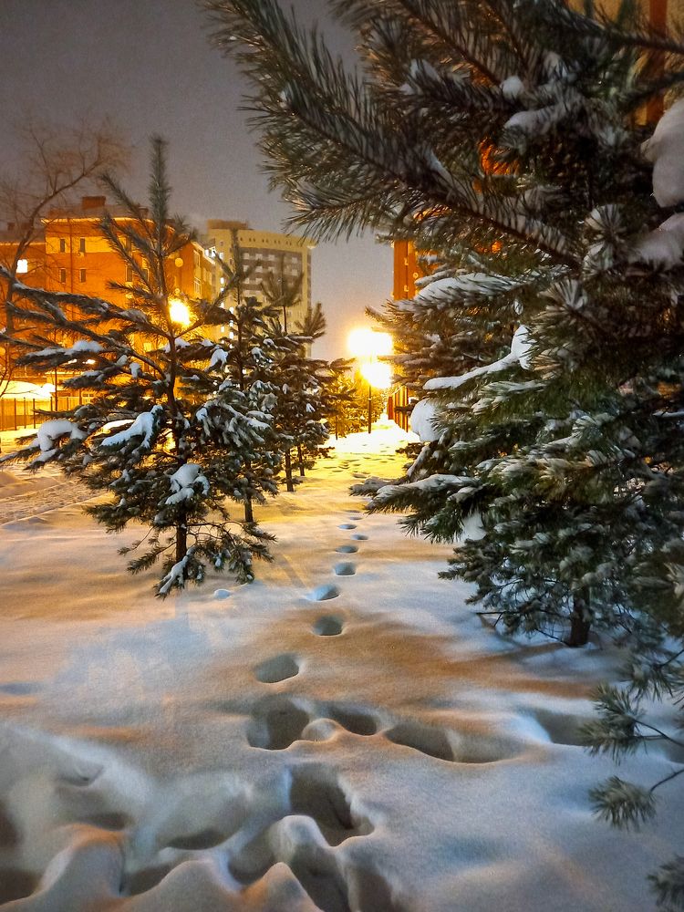 Photograph by Наталья Колеватова