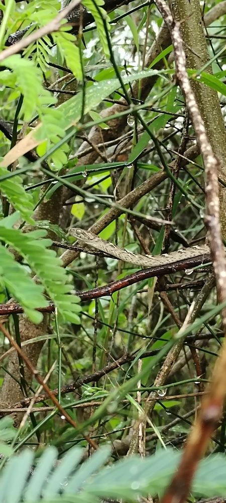 Photograph by Vishwa Trivedi