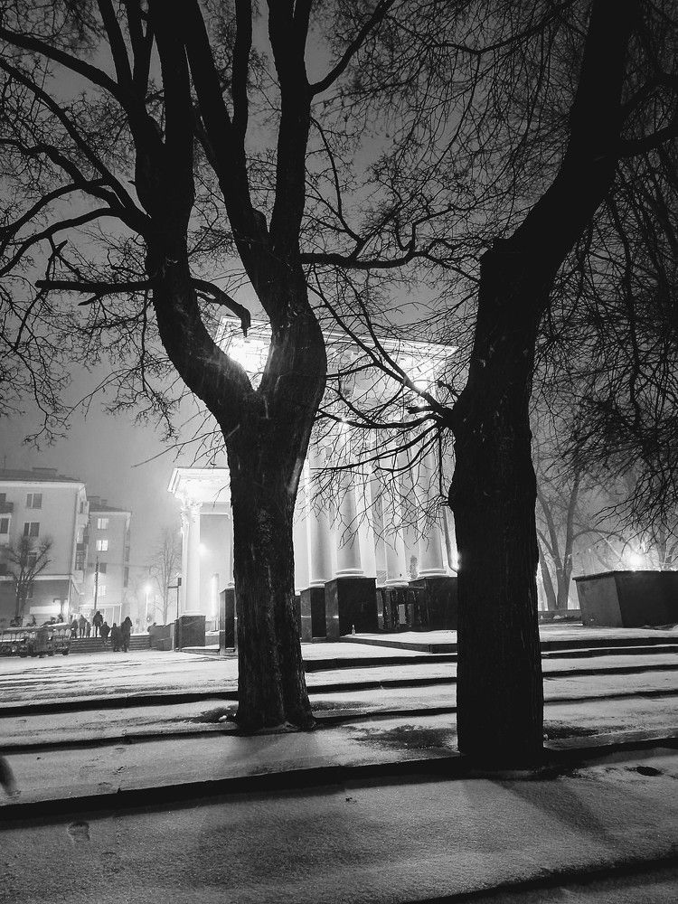 Photograph by Сидорова Ирина