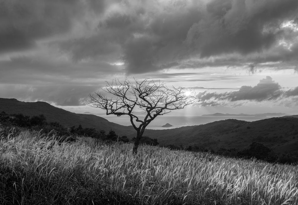 Photograph by Чернов Юрий