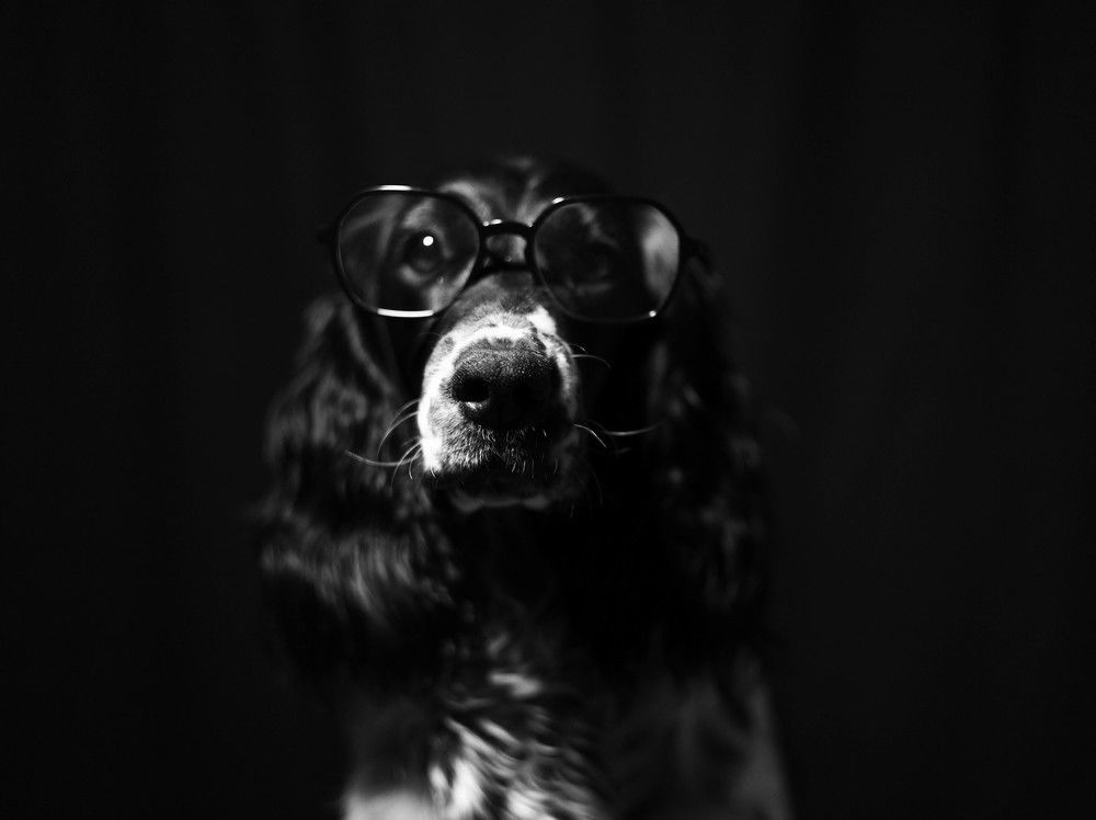 Фотография автора Максим Беднев