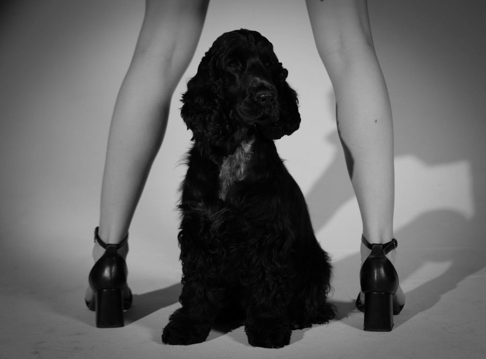 Фотография автора Максим Беднев