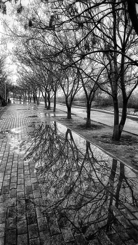 Photograph by Мирослава Сурженко