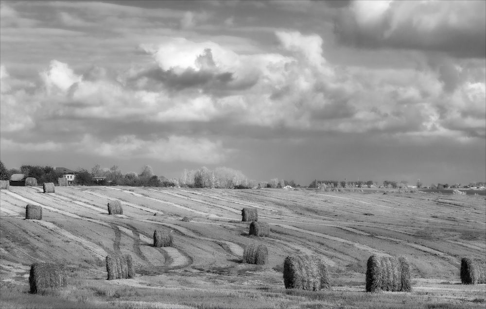 Осеннее поле устало