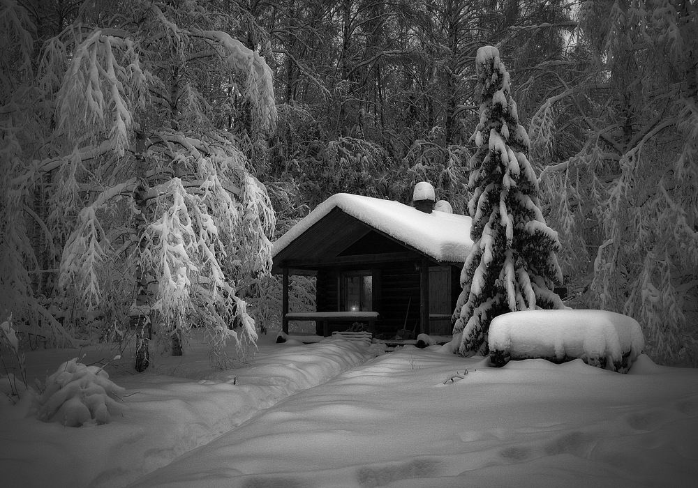 Photograph by Алексеев Сергей