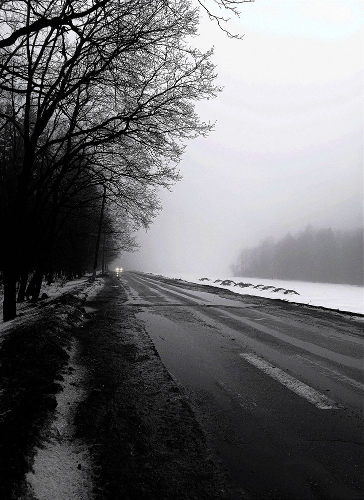 Photograph by Светлана Таркан