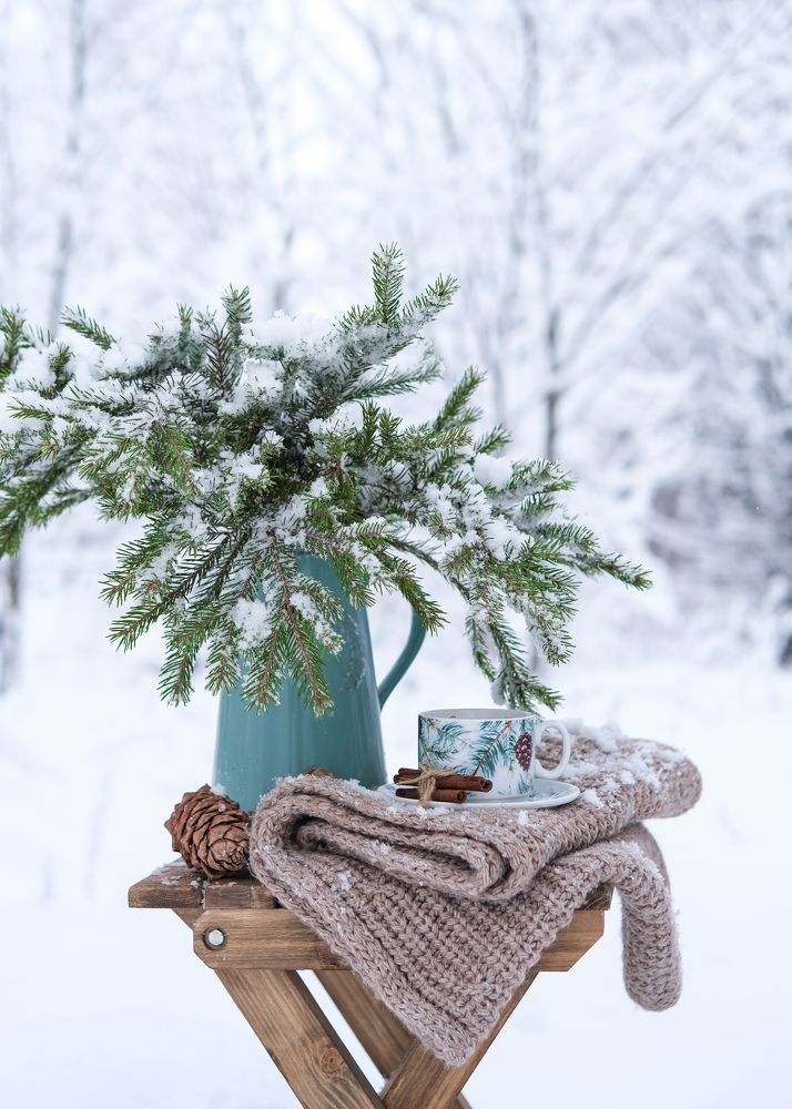 Photograph by Елена Никишина