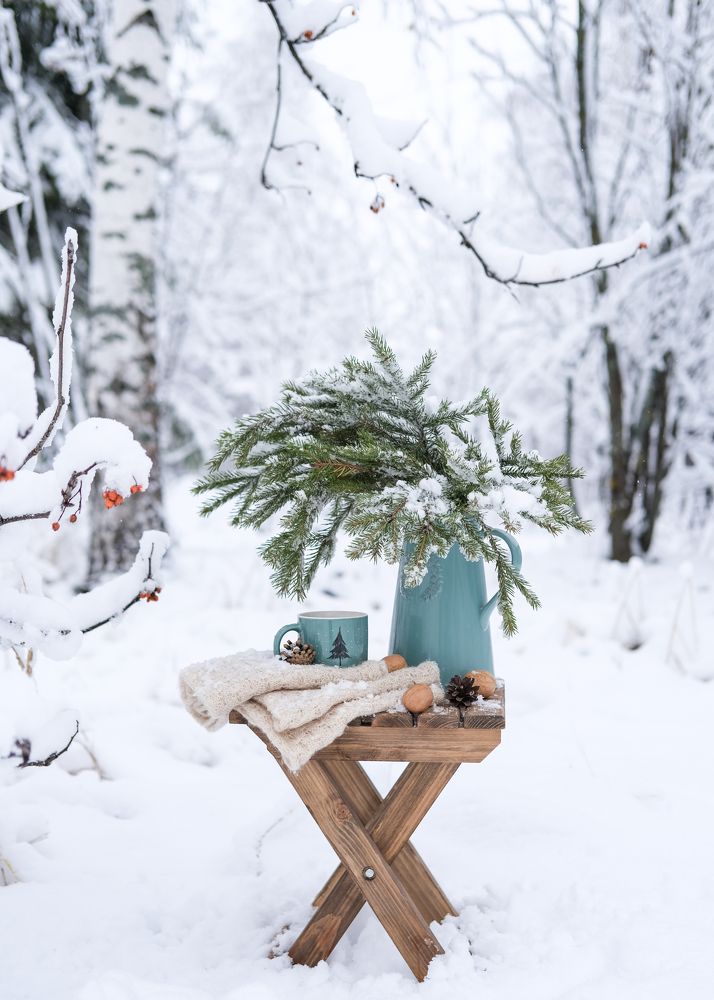 Photograph by Елена Никишина