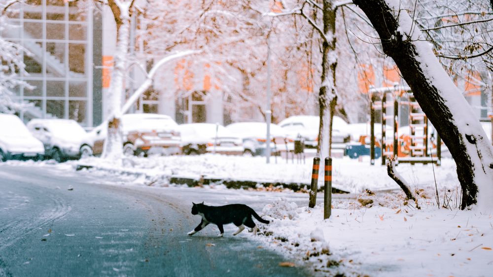 Photograph by Иван Никонов