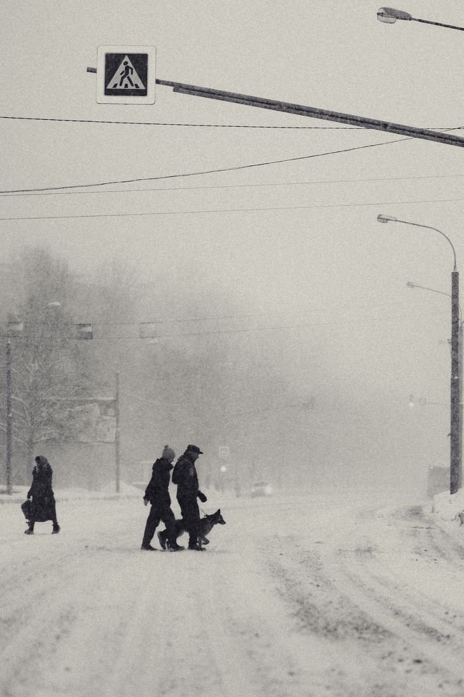 Photograph by Иван Никонов