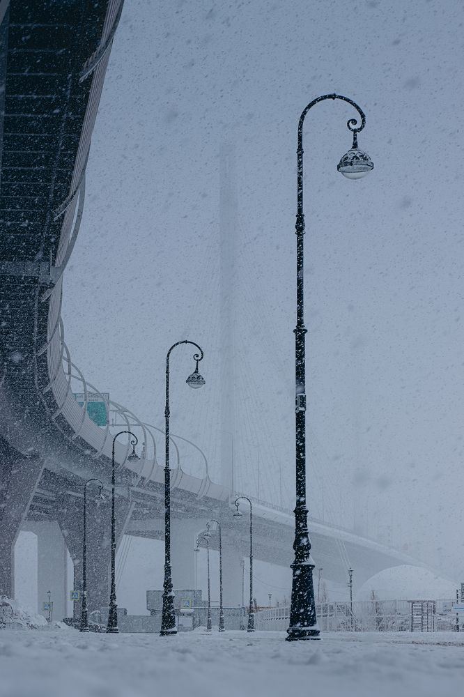 Под Вантовым мостом