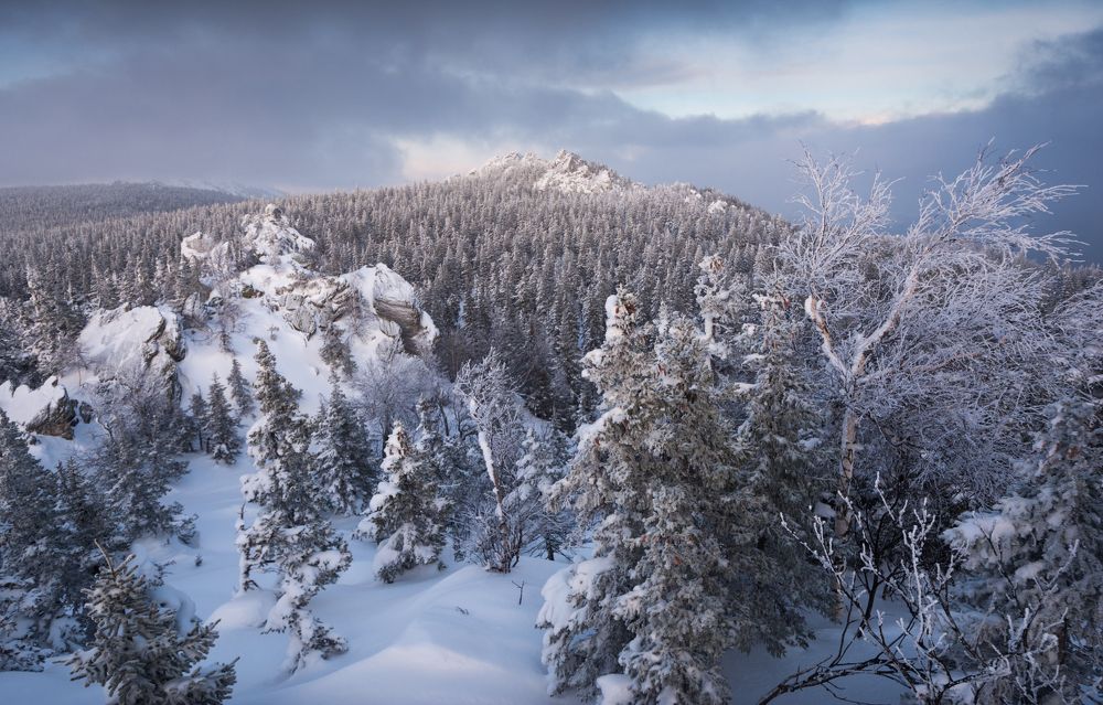 Фотография автора Алексей Проняхин