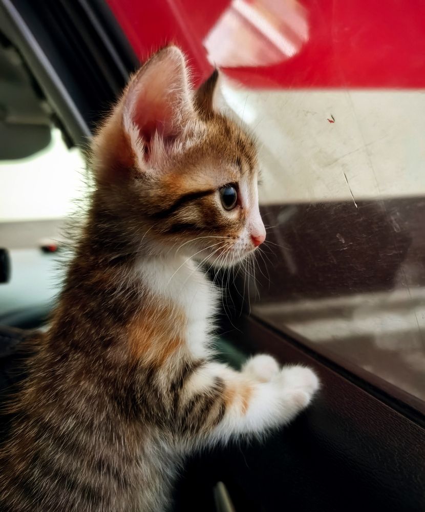 Photograph by Светлана Перминова